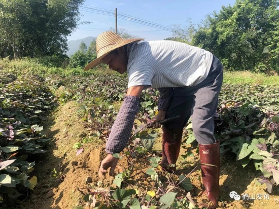 已處理160583944863102.jpg