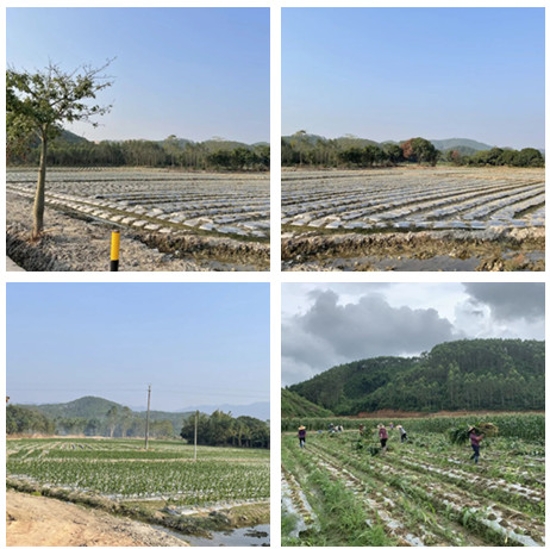 已處理1670923564960044.jpg